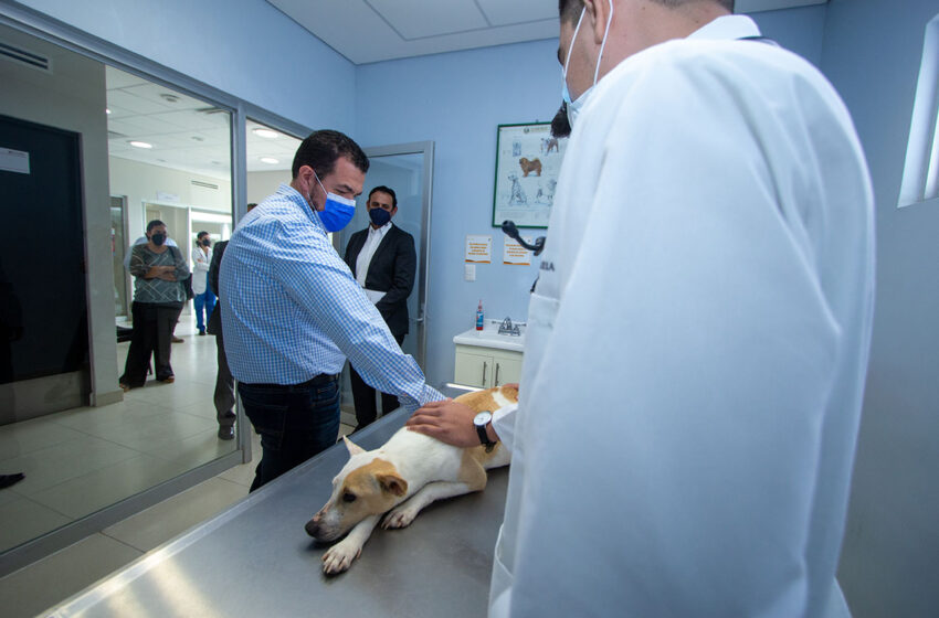  Constató Rector de la UAT trabajo del Hospital Veterinario de Pequeñas Especies