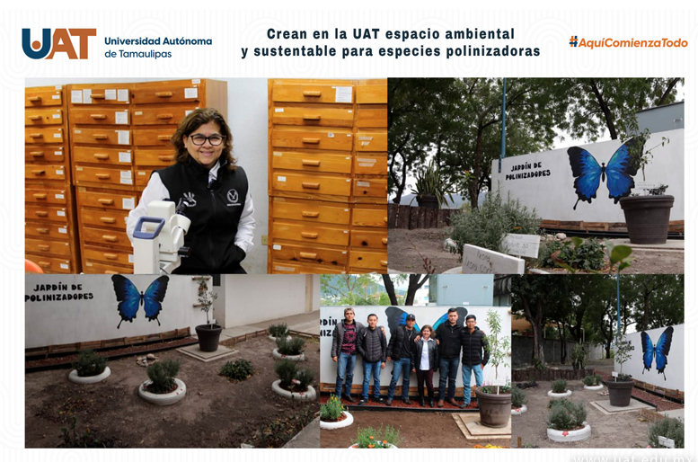  Crean en la UAT espacio ambiental y sustentable para especies polinizadoras