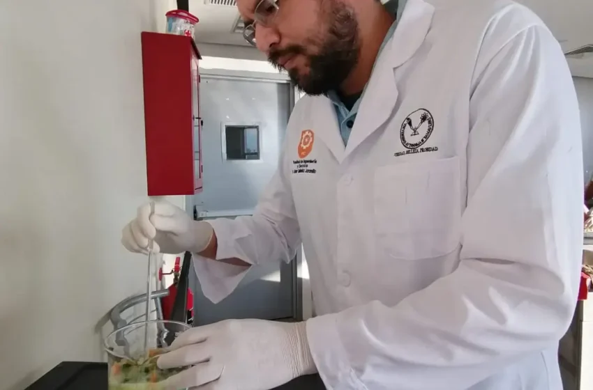  Identifica UAT plantas con potencial bioinsecticida